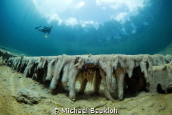 Fairytale Lake 
Slimy algae cover the sunken tree trunks... by Michael Baukloh 